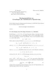 Rechnerpraktikum zu Grundlagen der Nichtlinearen Optimierung - M1