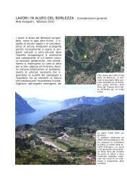 Distrutta la forra del torrente Borlezza presso Lovere (BG) - Orobievive