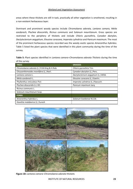 WETLAND DELINEATION REPORT - SRK Consulting