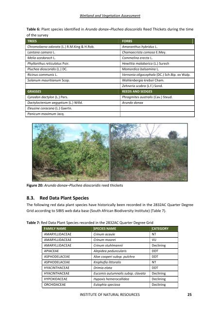 WETLAND DELINEATION REPORT - SRK Consulting