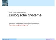 Biologische Systeme - Technische Kybernetik