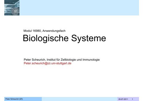 Biologische Systeme - Technische Kybernetik