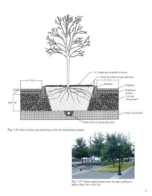 Le CU-Sol StructuralMD - Horticulture - Cornell University