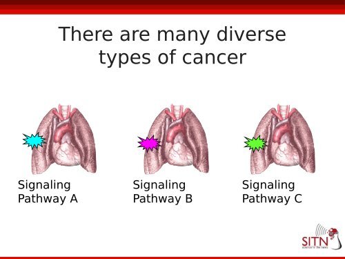 The War On Cancer