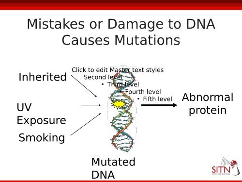 The War On Cancer