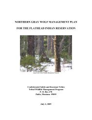 CSKT Wolf Management Plan - Confederated Salish and Kootenai ...