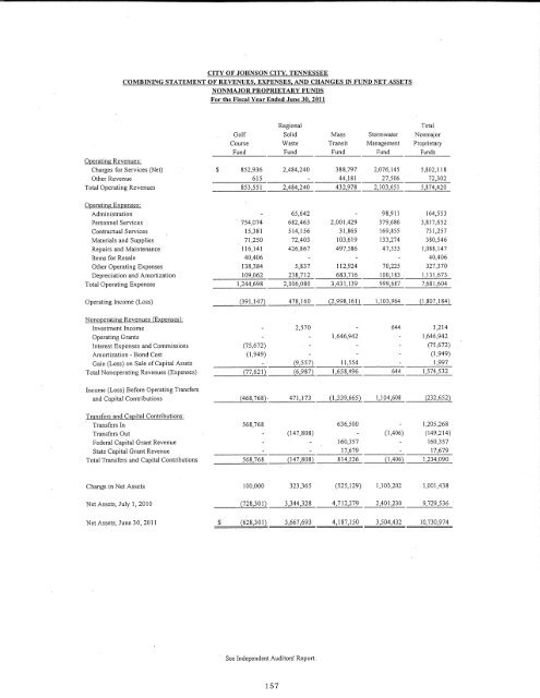 Comprehensive Annual Financial Report (CAFR) - Johnson City