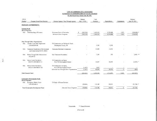 Comprehensive Annual Financial Report (CAFR) - Johnson City