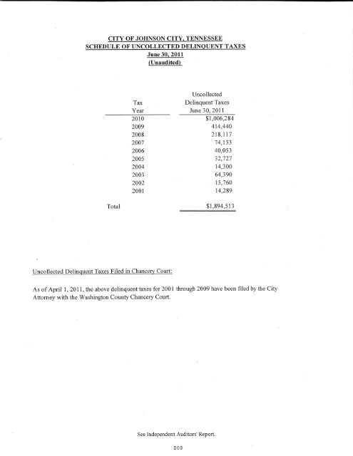 Comprehensive Annual Financial Report (CAFR) - Johnson City