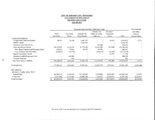 Comprehensive Annual Financial Report (CAFR) - Johnson City