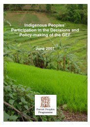 Indigenous Peoples' Participation in the Decisions and Policy ...