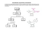 Nukleinsavak és egyéb természetes anyagok - Szerves Kémiai ...