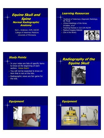 Equine Skull and Spine Equine Skull and Spine Radiography