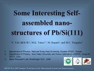 Some Interesting Self-organized nano-structures of Pb/Si(111)