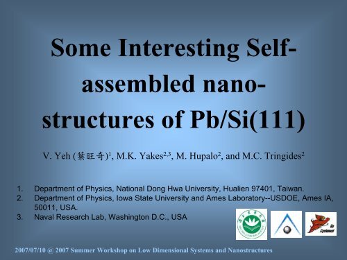 Some Interesting Self-organized nano-structures of Pb/Si(111)