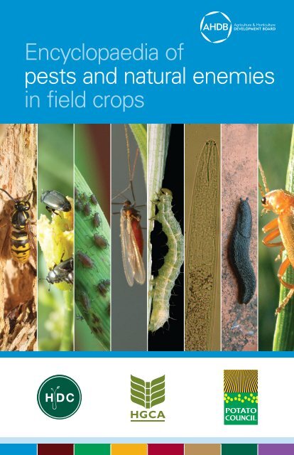 g62-encyclopaedia-of-pests-and-natural-enemies-in-field-crops
