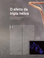 O efeito da tripla hÃ©lice - Revista Pesquisa FAPESP