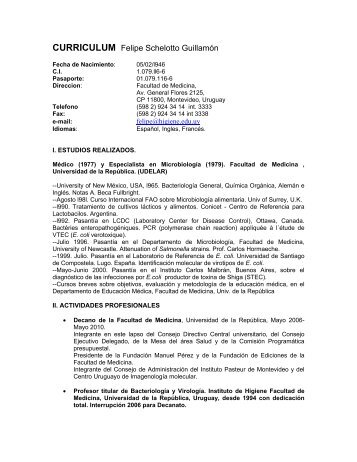 cv castellano upch