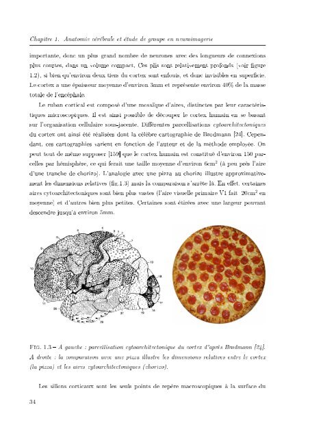 th`ese de doctorat - Neurosciences Cognitives & Imagerie CÃ©rÃ©brale ...