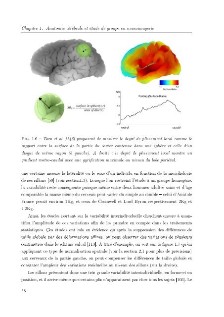 th`ese de doctorat - Neurosciences Cognitives & Imagerie CÃ©rÃ©brale ...