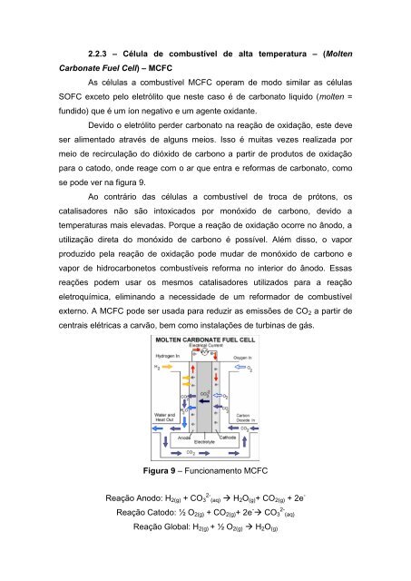 CÃ©lulas a combustÃ­vel - DEMAR - USP