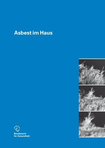 Asbest im Haus (521KB-PDF) - Riget AG