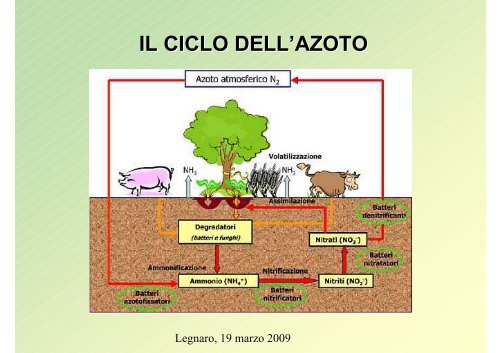 PDF (Il compost nell'attuazione della Direttiva Nitrati)