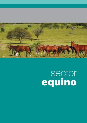 Equino