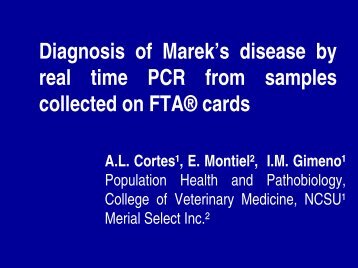 Diagnosis of Marek's disease by real time PCR from samples ...
