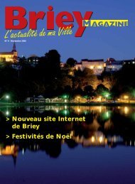 Nouveau site Internet de Briey > FestivitÃ©s de NoÃ«l