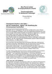 PDF der Pressemeldung - Max-Planck-Institut fÃ¼r biophysikalische ...