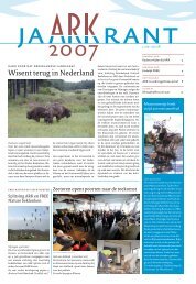 Wisent terug in Nederland - ARK Natuurontwikkeling