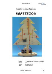 KERSTBOOM - Cardan.nl