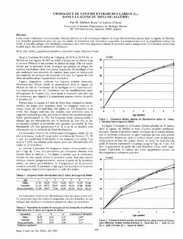 croissance du loup dicentrarchus labrax (l.) dans la lagune ... - CIESM