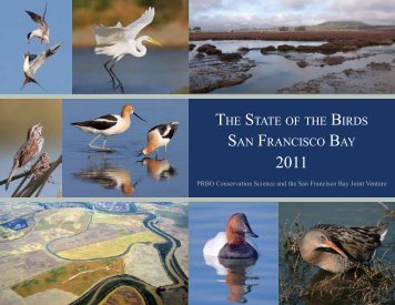 the state of the birds san francisco bay - PRBO Conservation Science