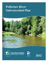 Pefferlaw River Subwatershed Plan 2012 - Lake Simcoe Region ...