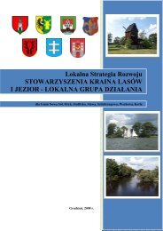 âKraina lasÃ³w i jeziorâ - LGD (pdf 2200 kB) - DolnoÅlÄski OÅrodek ...