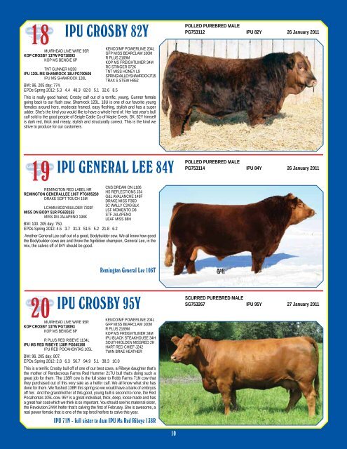 Bull & Female Sale - Bouchard Livestock International