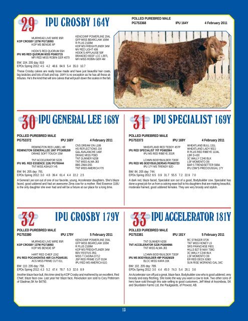 Bull & Female Sale - Bouchard Livestock International