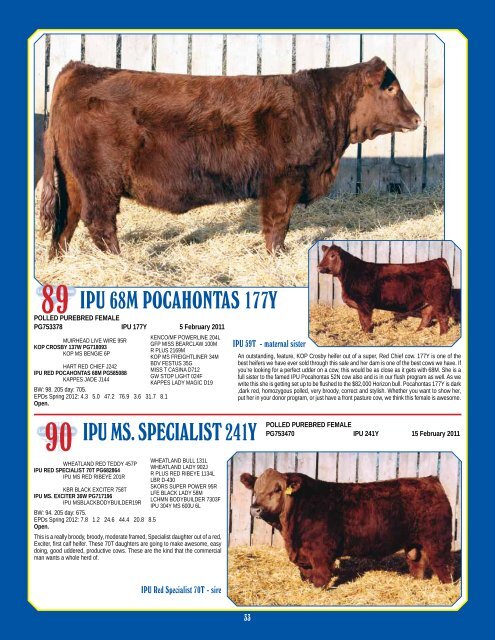 Bull & Female Sale - Bouchard Livestock International