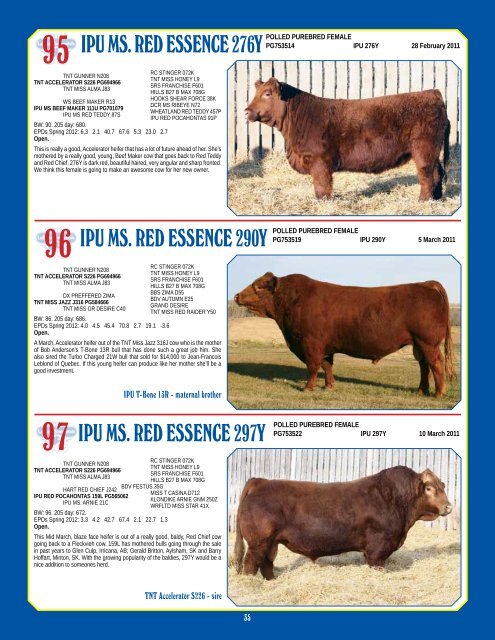 Bull & Female Sale - Bouchard Livestock International