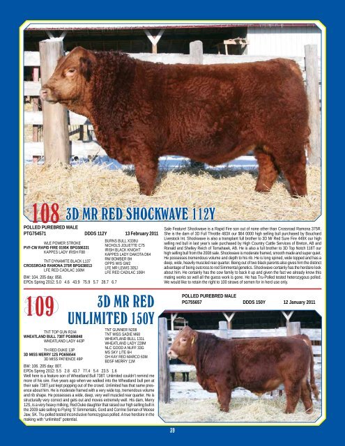 Bull & Female Sale - Bouchard Livestock International