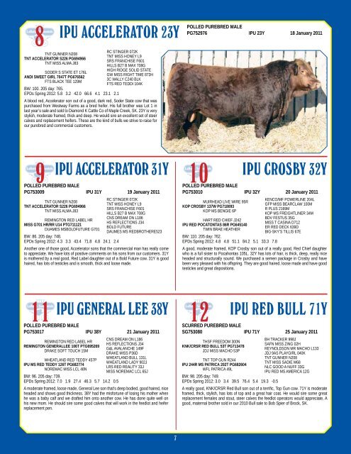 Bull & Female Sale - Bouchard Livestock International