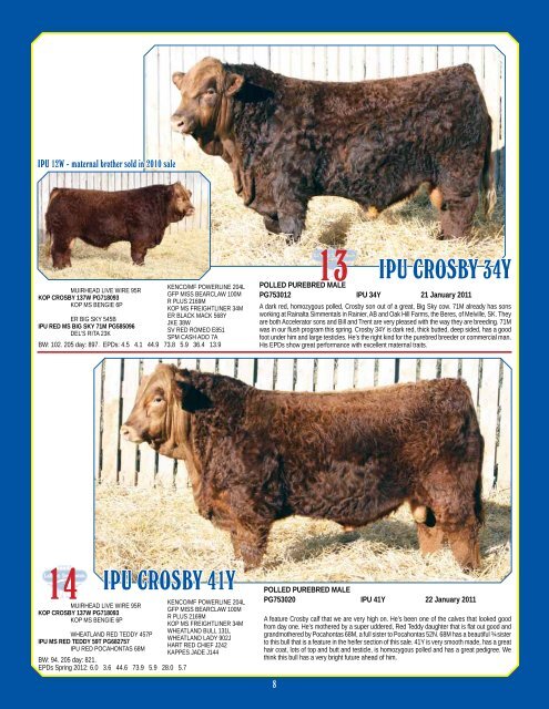 Bull & Female Sale - Bouchard Livestock International