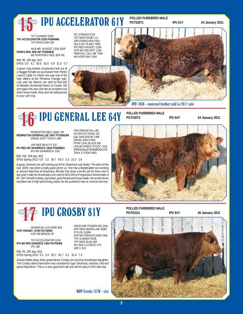 Bull & Female Sale - Bouchard Livestock International