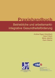 Download - AMS-Forschungsnetzwerk