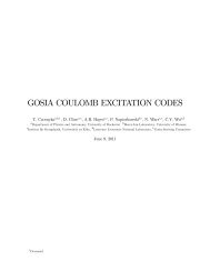 GOSIA COULOMB EXCITATION CODES - Physics and Astronomy ...