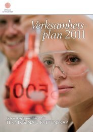 Verksamhetsplan 2011 - Teknisk-naturvetenskapliga fakulteten ...
