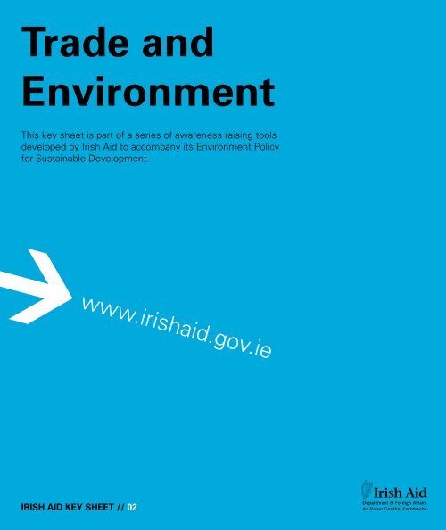 Download PDF (316KB) - Irish Aid