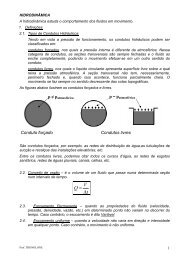 HIDRODINÃMICA (AULA 5 e 6).pdf